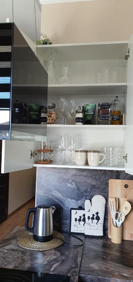 City Centre Apartment Rēzekne エクステリア 写真